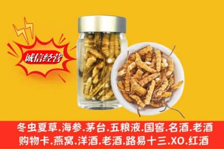 哈尔滨南岗回收散虫草