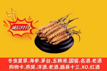 哈尔滨南岗回收虫草多少钱每克